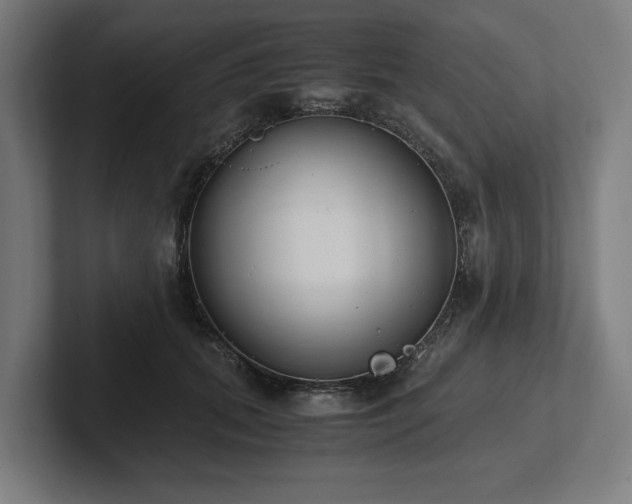 X0000102370655200808011514