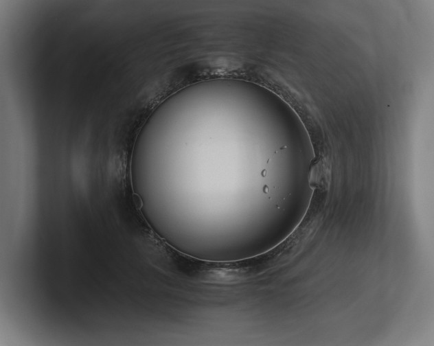 X0000102370657200808011514