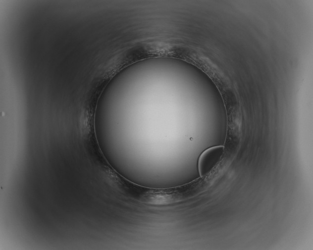 X0000102370658200808011514