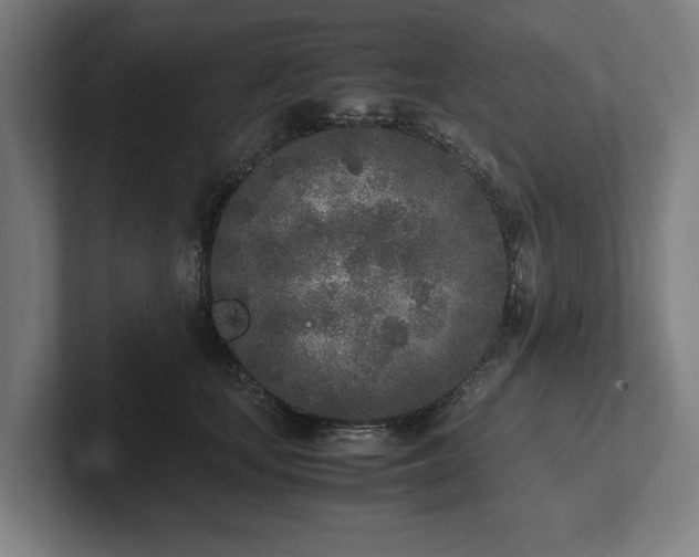 X0000102370659200808011514