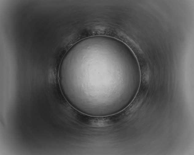 X0000102370661200808011514