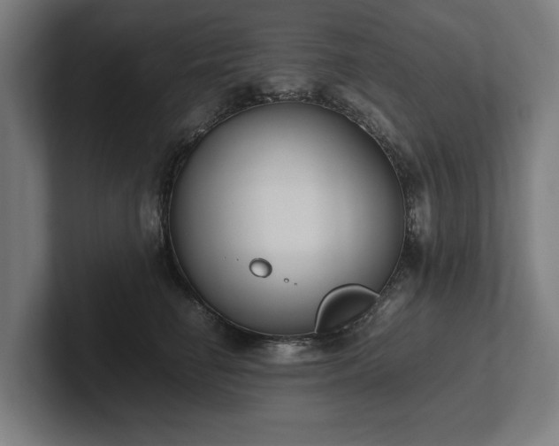 X0000102370662200808011514