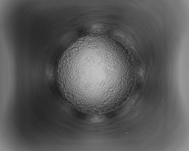 X0000102370663200808011514