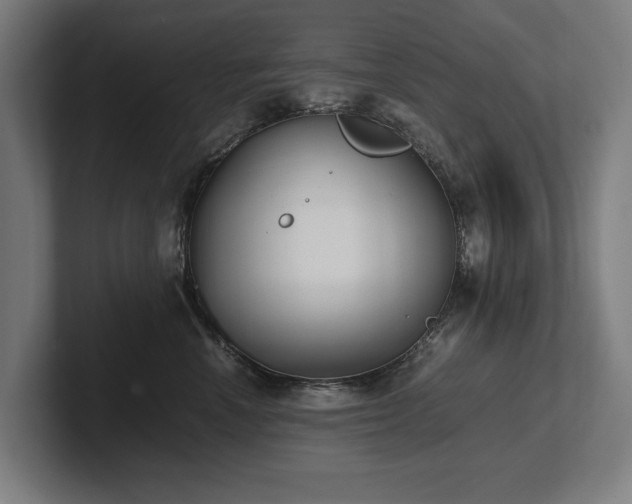 X0000102370666200808011514