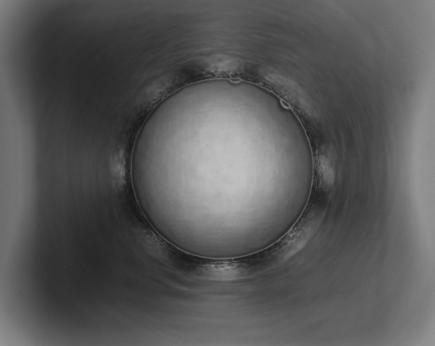 X0000102370668200808011514
