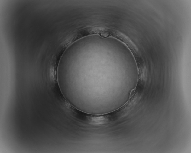 X0000102370669200808011514