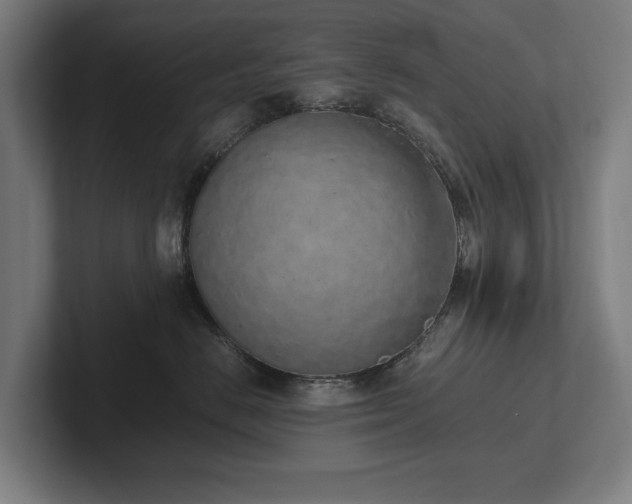 X0000102370670200808011514