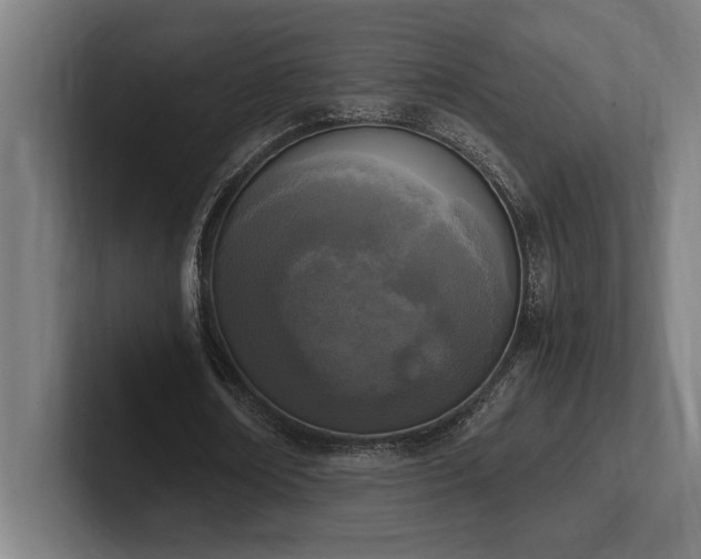 X0000102370674200808011514