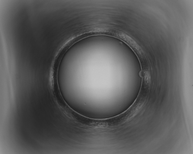 X0000102370676200808011514