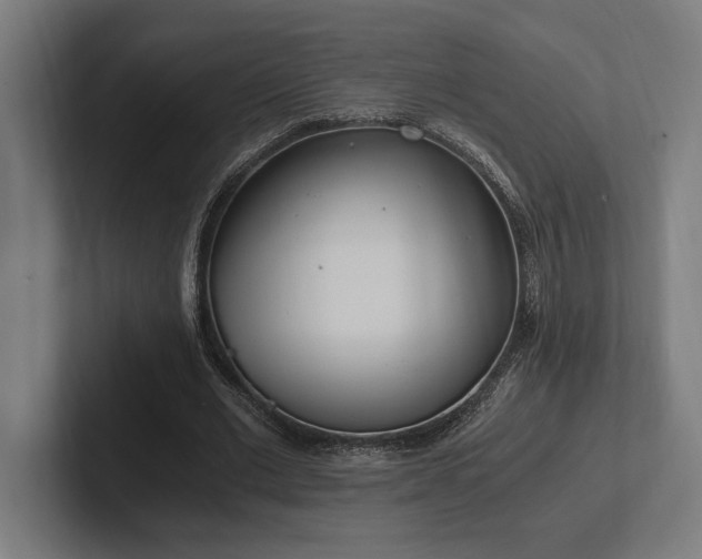 X0000102370677200808011514