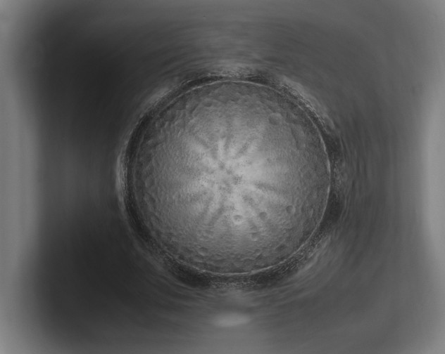 X0000102370679200808011514
