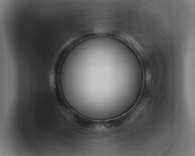 X0000102370684200808011513