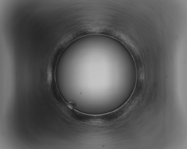 X0000102370685200808011513