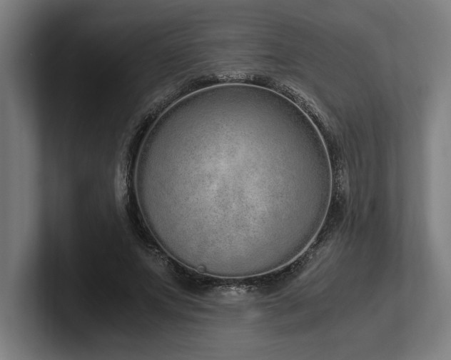 X0000102370687200808011513