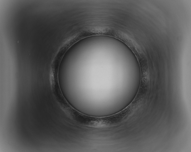 X0000102370688200808011513