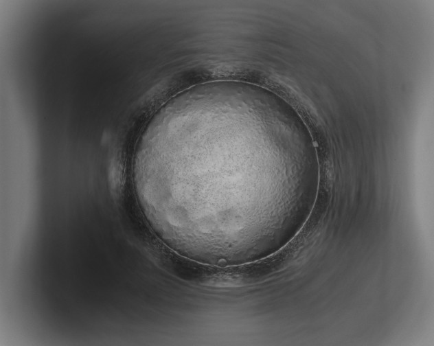 X0000102370691200808011513