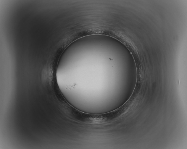 X0000102370693200808011513