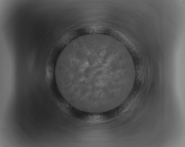 X0000102370695200808011513
