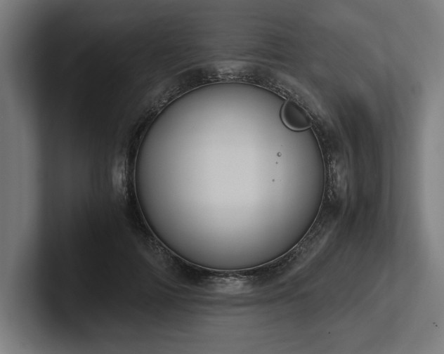X0000102370698200808011513