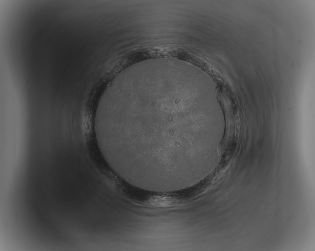 X0000102370699200808011513