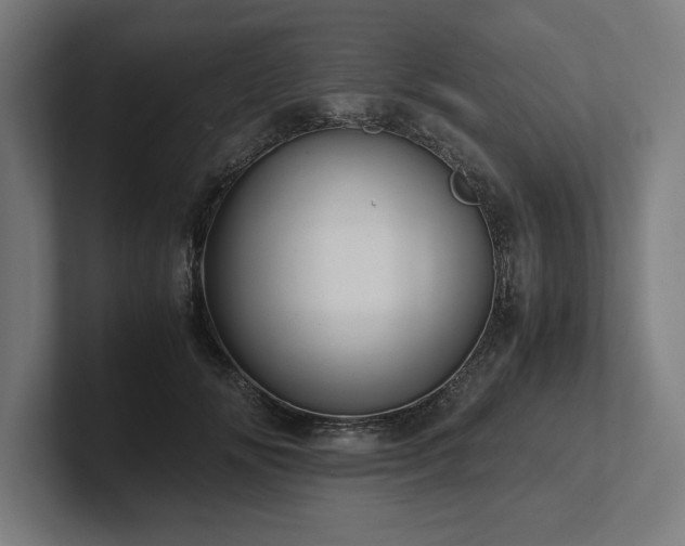 X0000102370702200808011513