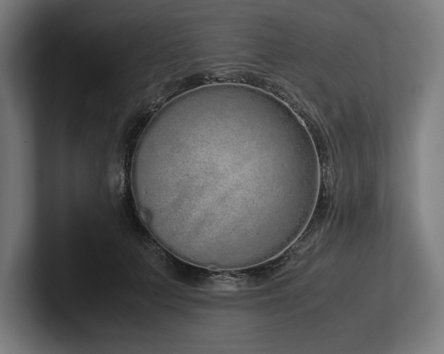 X0000102370703200808011513
