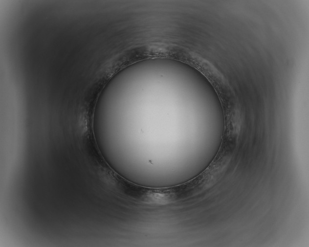 X0000102370706200808011513