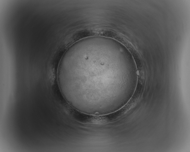 X0000102370707200808011513