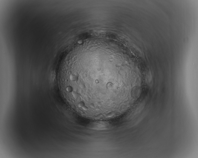 X0000102370711200808011513