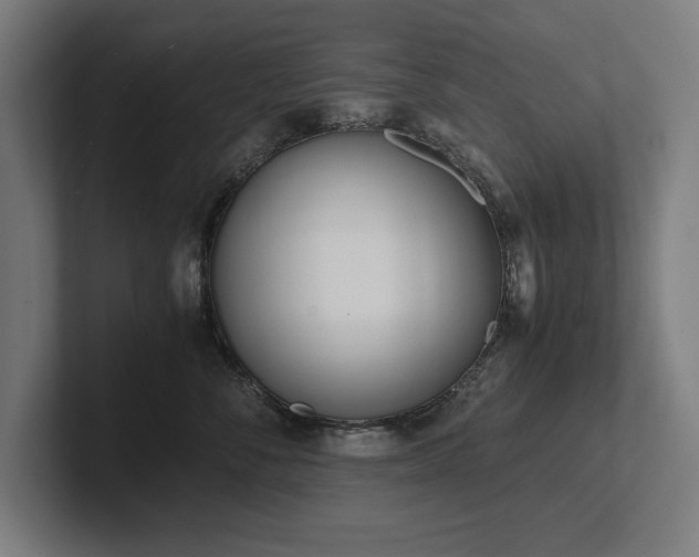 X0000102370716200808011513