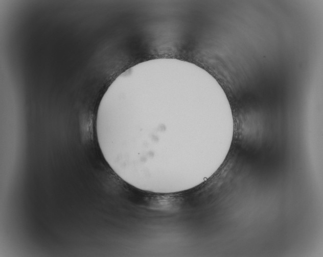 X0000102370717200808011513