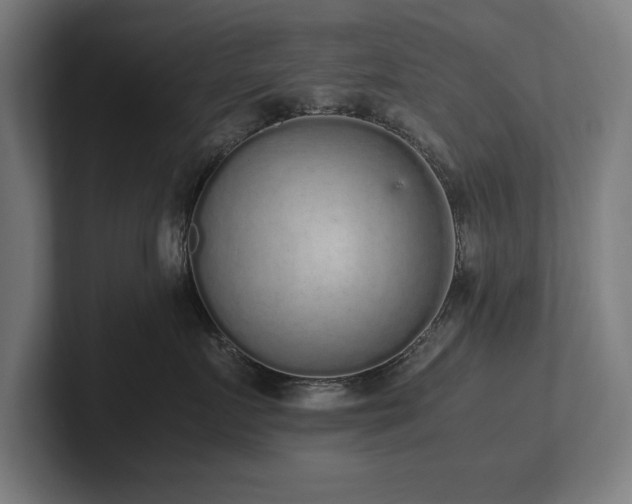 X0000102370719200808011513