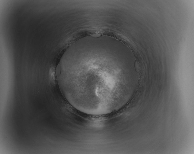 X0000102370720200808011513