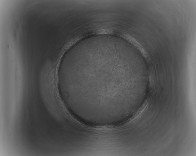 X0000102370721200808011512