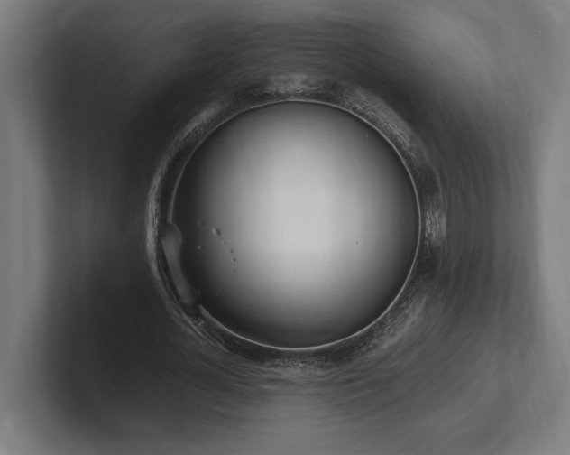 X0000102370724200808011512