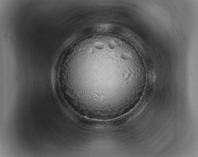 X0000102370725200808011512