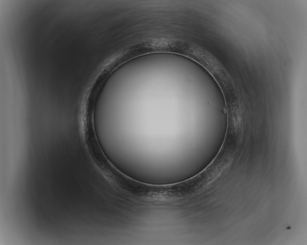 X0000102370728200808011512