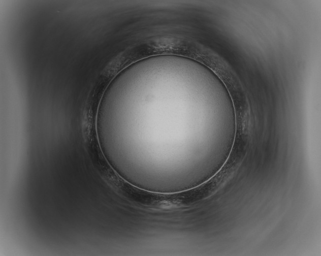 X0000102370737200808011513