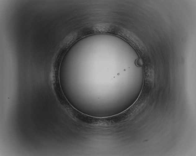 X0000102370738200808011513