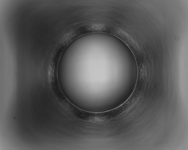 X0000102370739200808011513