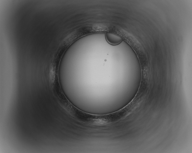 X0000102370741200808011513
