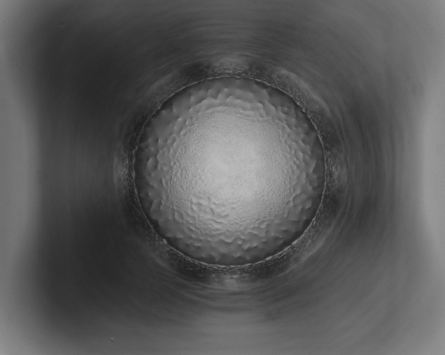 X0000102370745200808011513