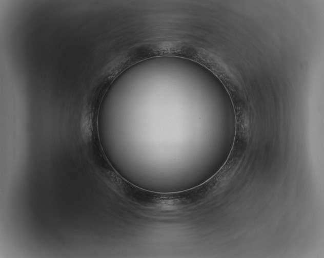X0000102370746200808011513