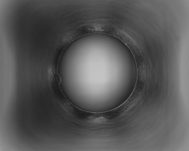 X0000102370747200808011513