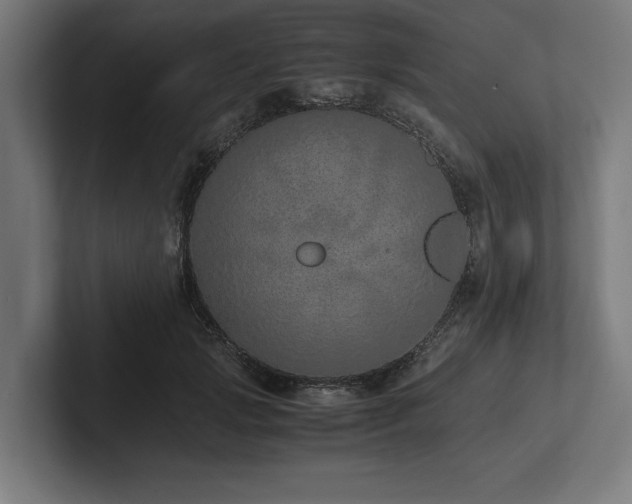X0000102370749200808011513