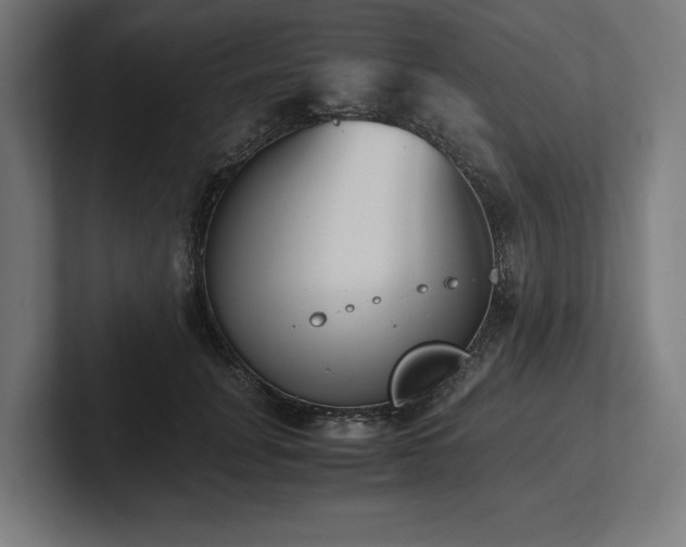 X0000102370751200808011513
