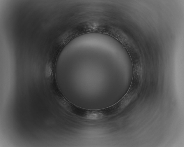 X0000102370754200808011513