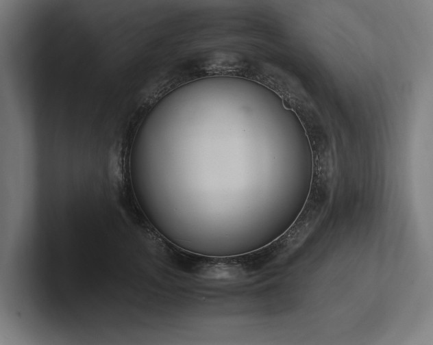 X0000102370755200808011513