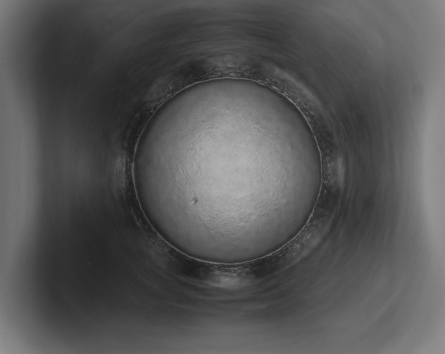 X0000102370757200808011513