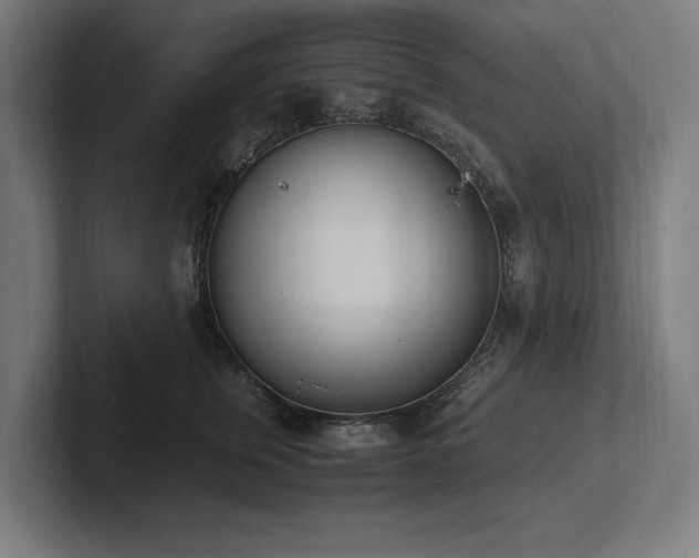 X0000102370759200808011513